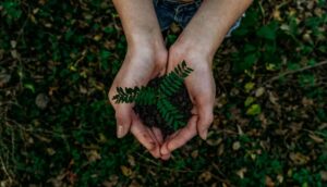 green plant